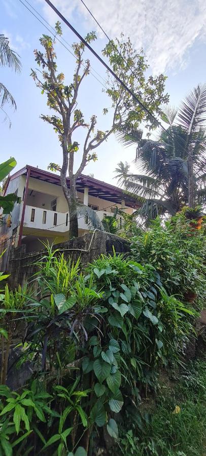 Wimala B&B ベントータ エクステリア 写真