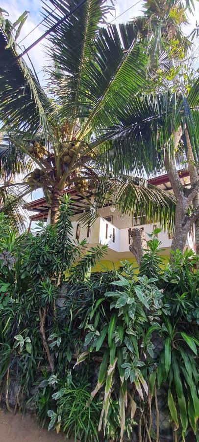 Wimala B&B ベントータ エクステリア 写真